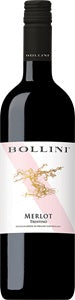 Bollini Merlot Trentino DOC 2023