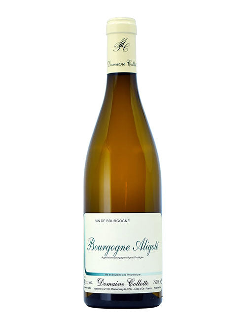 Domaine Collotte Aligote 2024