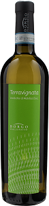 Borgo Paglianetto Terravignata Verdicchio di Metalica 2023