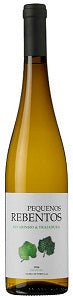 Pequenos Rebentos Vinho Verde 2024